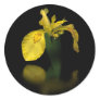 Morning Melody Sticker