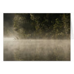 Morning Mist Card