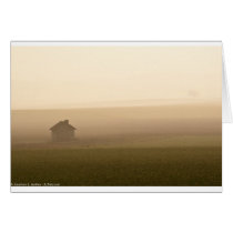 Morning Mist cards