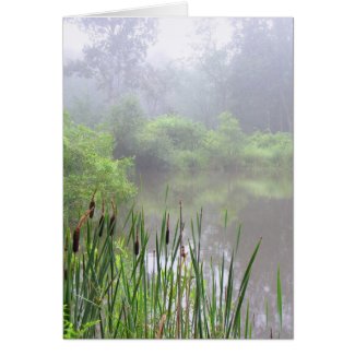Morning Mist on the Pond card