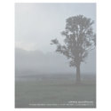 Morning Mist • Personalize Letterhead