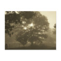 Morning Mist postcards by victrue Morning Mist postcards