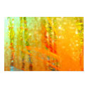 Morning mist posters by Zenyaris Morning mist posters