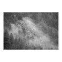 Morning Mist posters
