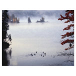 Morning mist with geese, Lake Lamabie, Ontario, Ca flyers