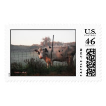 "Morning Moo" Stamps