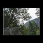 Morning on the Trail to Vernal Falls Postcard