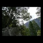 Morning on the Trail to Vernal Falls Print