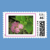 Morning Pink stamps