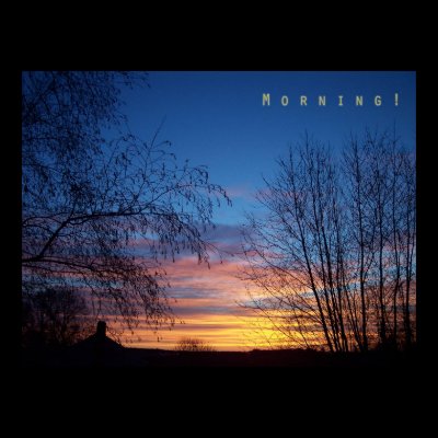 Morning Print by arphot