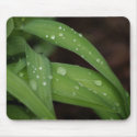 Morning Rain on Perfect Blades of Grass Mousepad by sexyshirts2 Morning Rain on Perfect Blades of Grass Mousepad