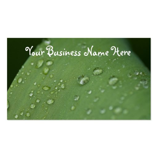Morning Rain; Promotional Business Card