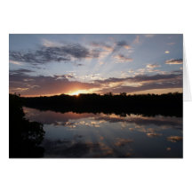 Morning Rays Cards