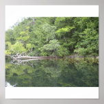 Morning Reflections Posters
