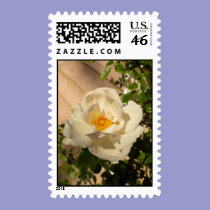 Morning Rose Postage stamps