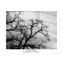Morning Shadow posters by JoditoB Morning Shadow posters