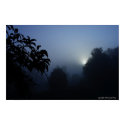 Morning Shadows posters by JoeMay Morning Shadows posters