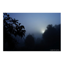 Morning Shadows posters by JoeMay Morning Shadows posters