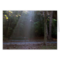 Morning Shafts Illuminate a Bench cards