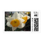 Morning Showers postage