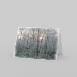 Morning Snow cards