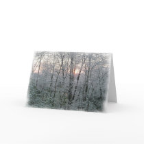 Morning Snow cards