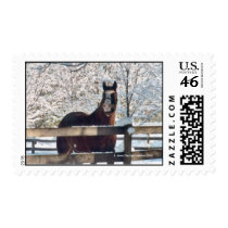 Morning Snow Postage Stamps