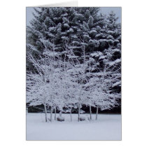 morning snowfall cards