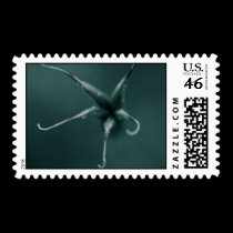Morning Star postage