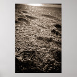 Morning Star posters