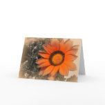 Morning Sun.. Card