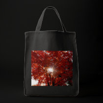 Morning Sun in Tree bags