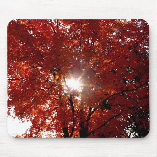 Morning Sun in Tree mousepad