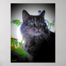 Morning sun is up print
