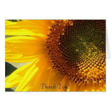 Morning Sunflower Note Card
