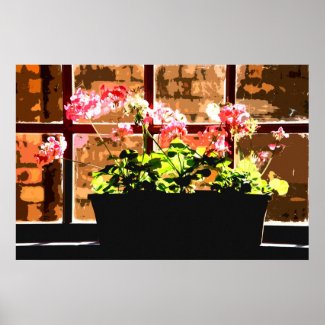 MORNING SUNLIGHT 2 print