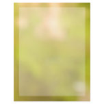 Morning Sunlight 2A Personalized Letterhead
