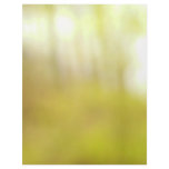 Morning Sunlight 3 Personalized Letterhead