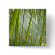 Morning sunlight filtering through bamboo buttons