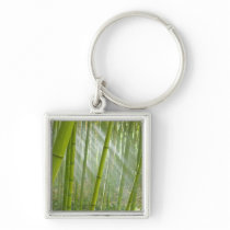 Morning sunlight filtering through bamboo keychain