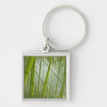 Morning sunlight filtering through bamboo keychain