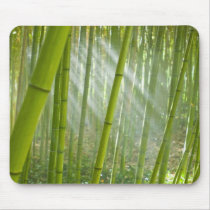 Morning sunlight filtering through bamboo mouse pad
