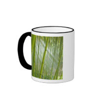 Morning sunlight filtering through bamboo mugs