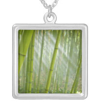 Morning sunlight filtering through bamboo necklace