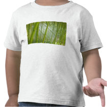 Morning sunlight filtering through bamboo t shirt