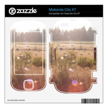 Morning Sunlight Motorola Cliq XT Skin