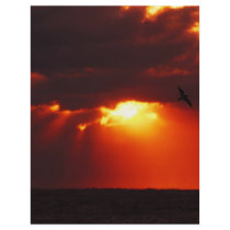 Morning Sunrise flyers by creative_eye Morning Sunrise flyers