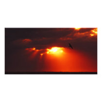 Morning Sunrise photo cards by creative_eye Morning Sunrise photo cards