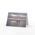 Morning Surf cards