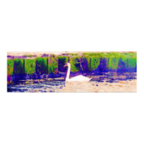 Morning Swan posters by opalcat Morning Swan posters